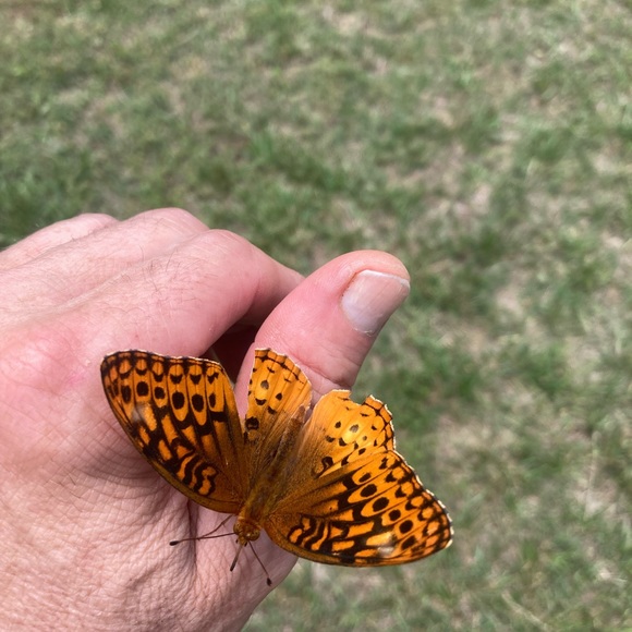 Meet your Posher, Paul - Picture 10 of 12